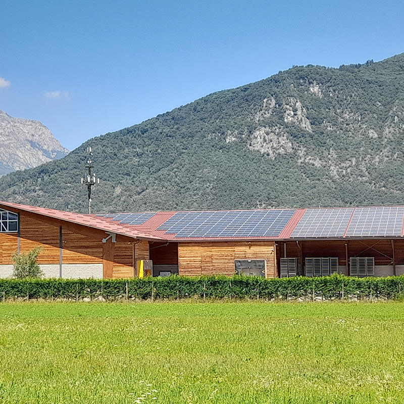 Azienda Casearia - Piemonte - Neyen Srl - Sostenibilità Ambientale ed Economica per la tua Impresa